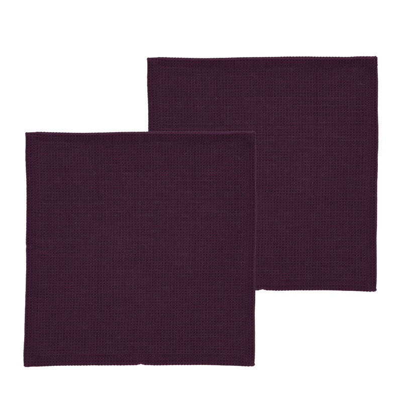 Spectrum Karklud 2 stk.